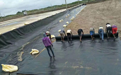 geomembrane.jpg