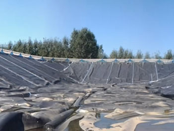 Geomembrane