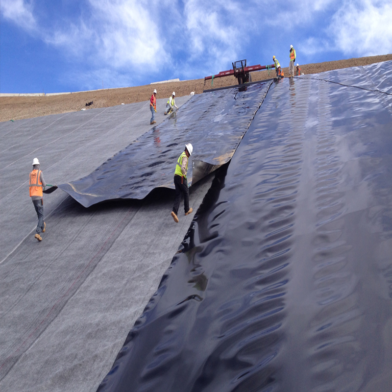 Geomembrane