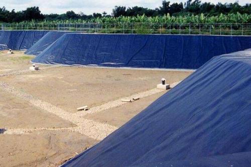 Geomembrane