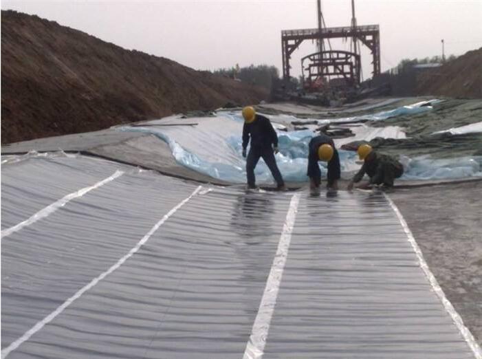 Geomembrane