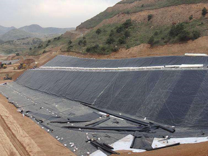 Geomembrane